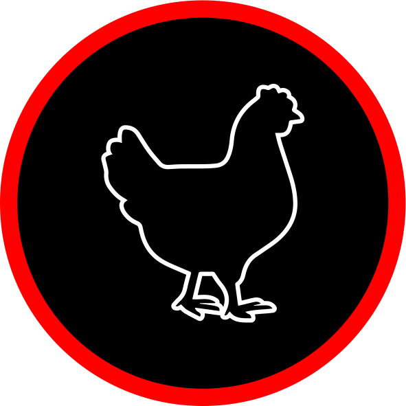 Categoría Pollo